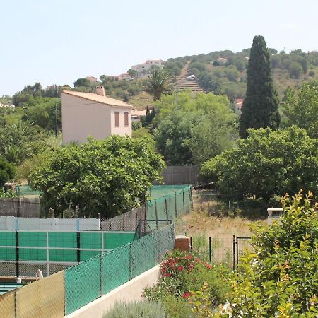 Appartement Renove Avec Terrasse, A Deux Pas Du Centre Et De La Mer, Ideal Pour 4 Personnes - Fr-1-309-4 Банию-сюр-Мер Екстериор снимка